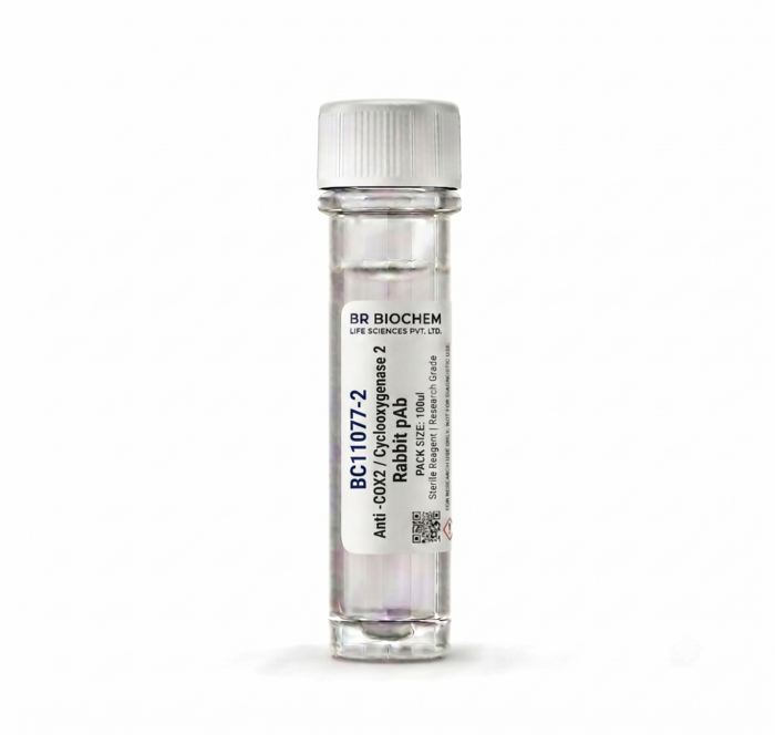 Anti-COX2 Cyclooxygenase 2 Rabbit pAb 100ul