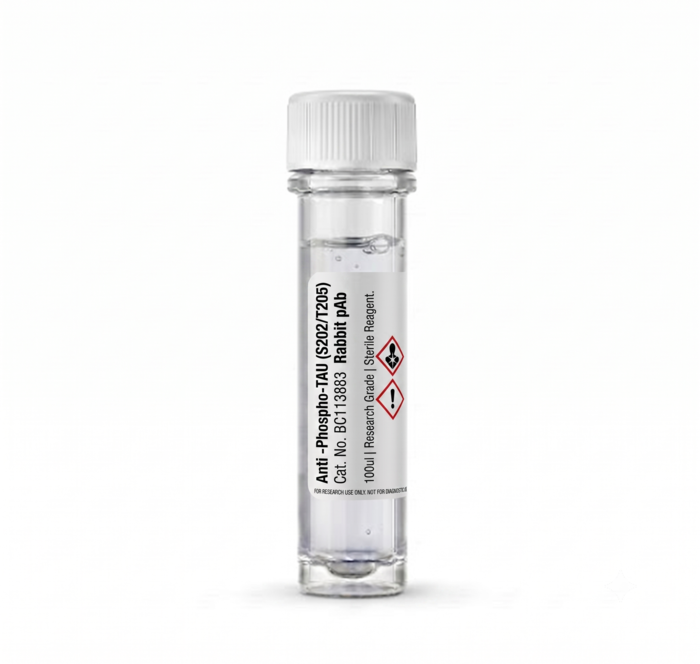 Anti-Phospho-TAU (S202/T205) Rabbit pAb 100ul