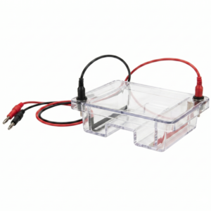 SC-1520 Maxi Horizontal Electrophoresis System 15x20 cm