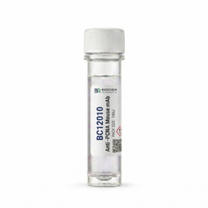 Anti-PCNA Mouse mAb 100ul (BC12010)
