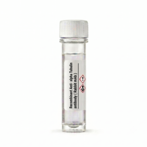 Recombinant Anti-alpha Tubulin Rabbit mAb BC15201 100ul