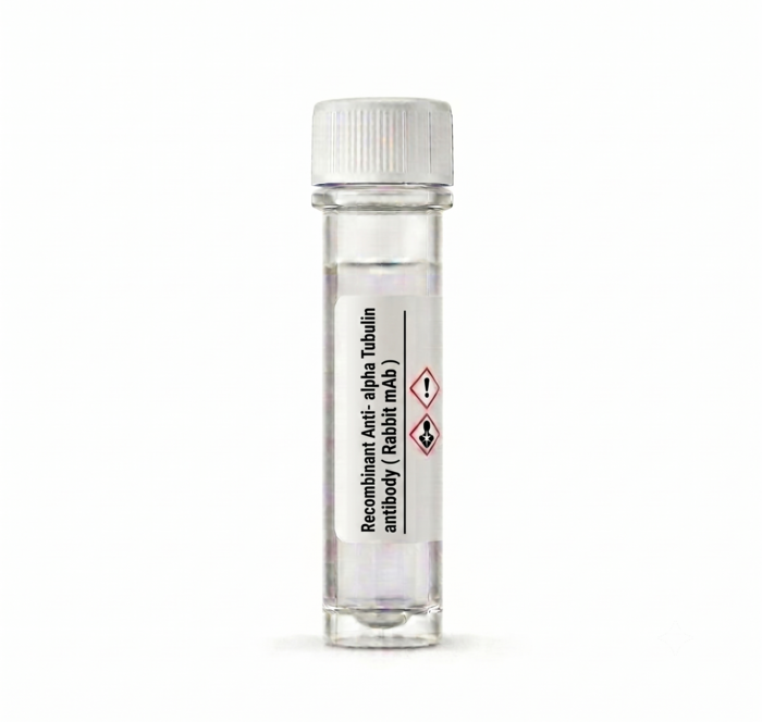 Recombinant Anti-alpha Tubulin Rabbit mAb BC15201 100ul