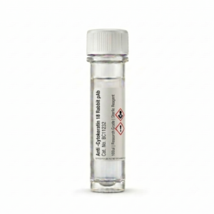 Anti-Cytokeratin 18 Rabbit pAb BC11232 100ul