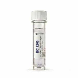 Anti-alpha Tubulin Rabbit pAb 100ul