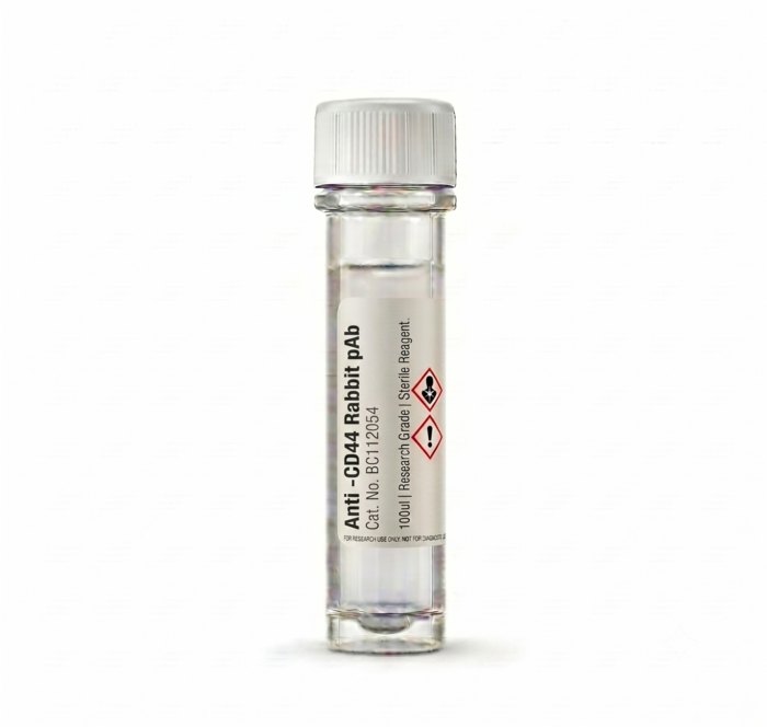 Anti-CD44 Rabbit pAb 100ul Antibody