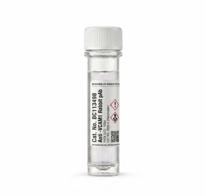 Anti-VCAM1 Rabbit Polyclonal Antibody 100ul BC113498