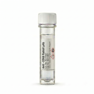 Anti-CD68 Rabbit Polyclonal Antibody - 100ul