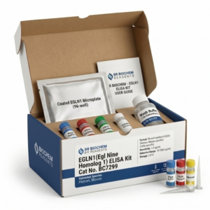 EGLN1 ELISA Kit BC7299 - Human and Mouse Detection