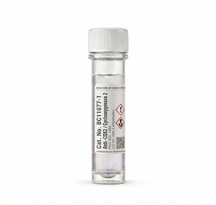Anti-COX2 Cyclooxygenase 2 Rabbit Polyclonal Antibody 100ul