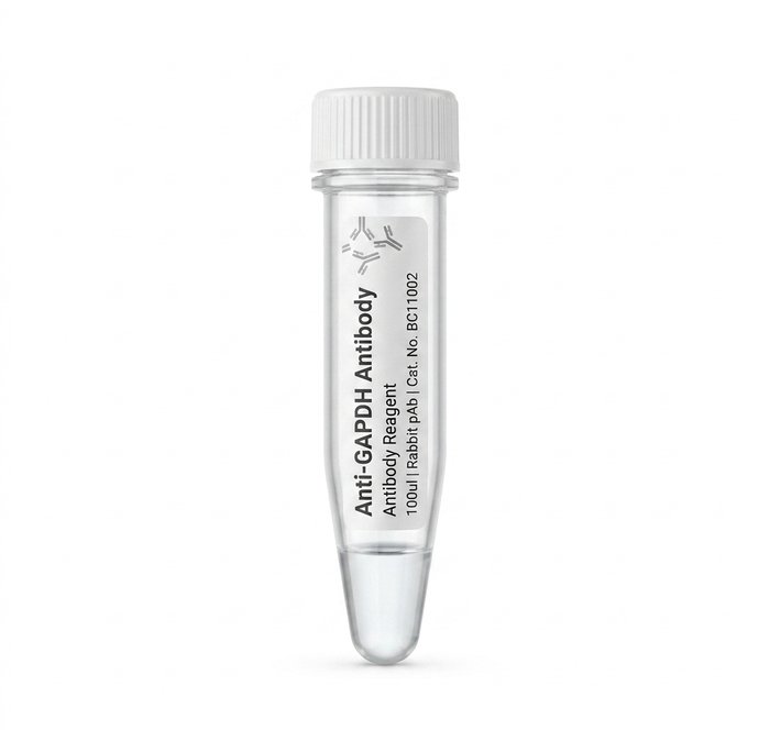 Anti-GAPDH Rabbit Polyclonal Antibody 100ul BC11002