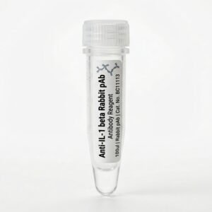 Anti-IL-1 beta Rabbit pAb 100ul BC11113