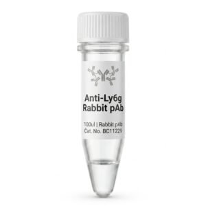 Anti-Ly6g Rabbit Polyclonal Antibody 100ul BC11229