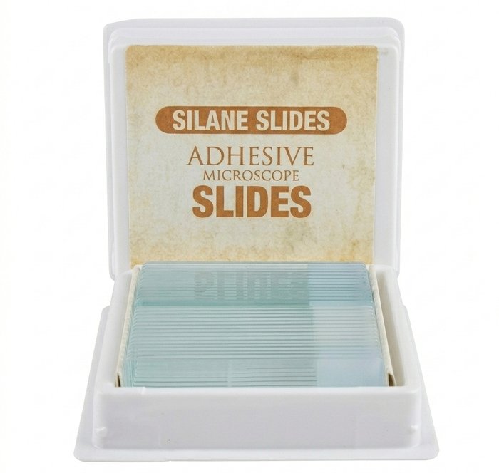 Silane Coated Microscope Slides Frosted End 25.4x76.2mm