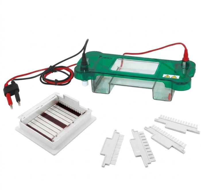 BI-HE-2020 Horizontal Electrophoresis System