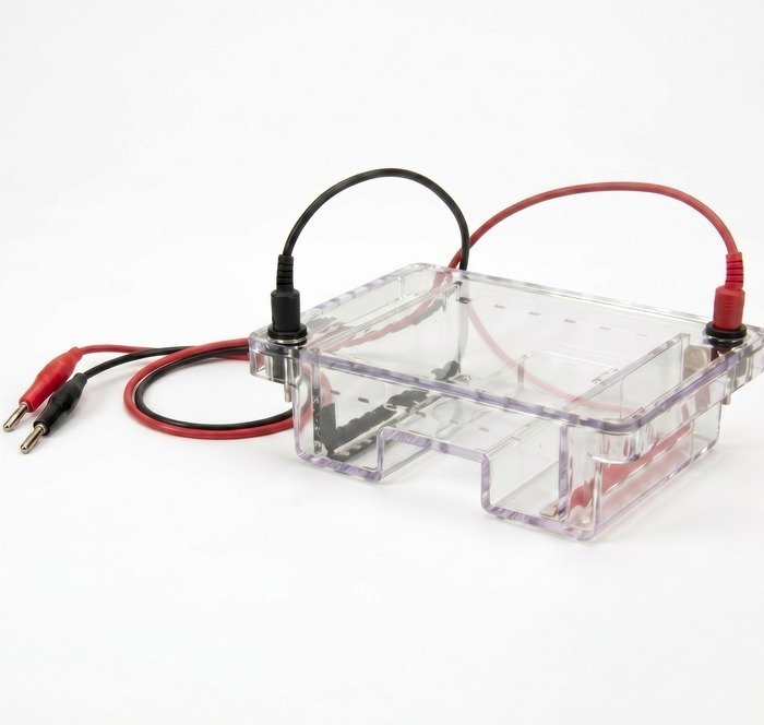 SC-1510 MIDI Horizontal Electrophoresis System