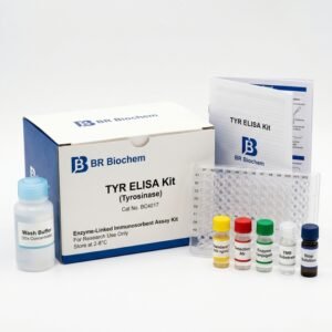 BC4017 Tyrosinase ELISA Kit 96 Tests