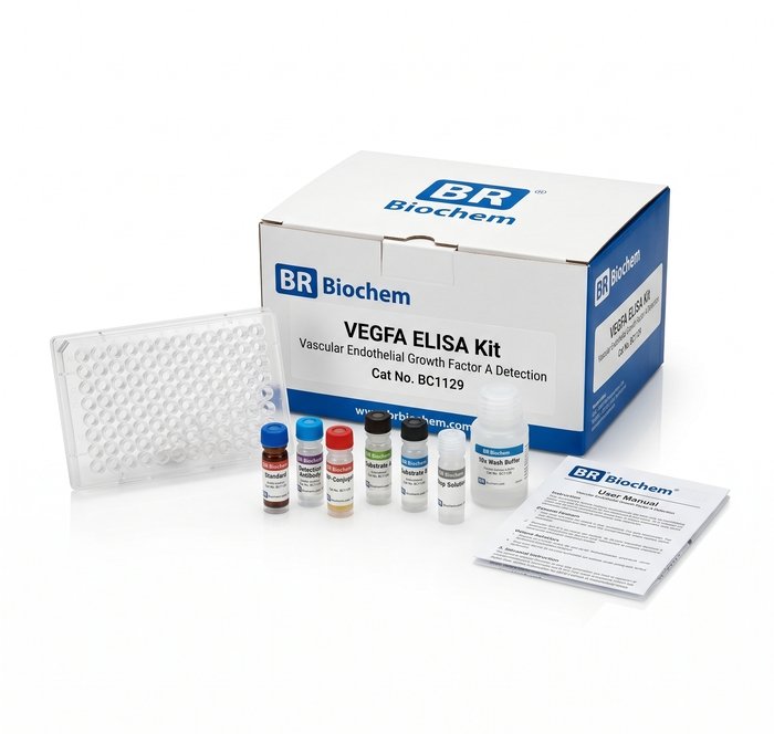 VEGFA ELISA Kit BC1129 Multi-Species Assay