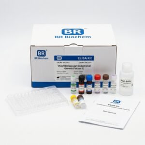 BC2321 VEGFB ELISA Kit - Human and Mouse