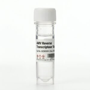 AMV Reverse Transcriptase 200u Enzyme BCB0999