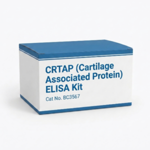 BC3567 CRTAP ELISA Kit - Human and Mouse