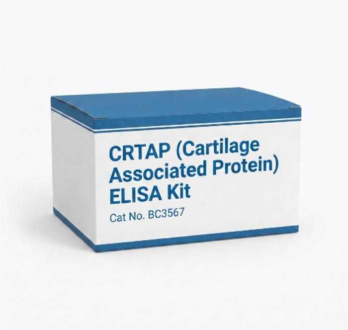 BC3567 CRTAP ELISA Kit - Human and Mouse