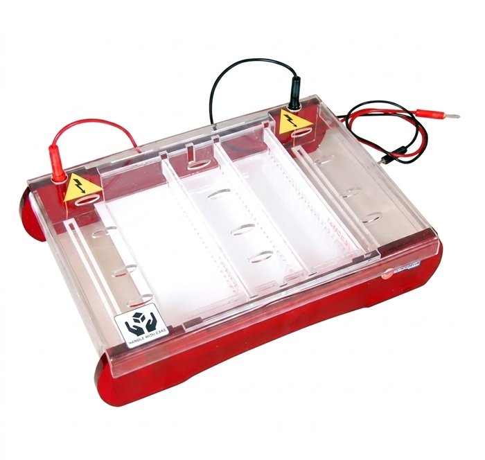Maxi Horizontal Electrophoresis System BI0086