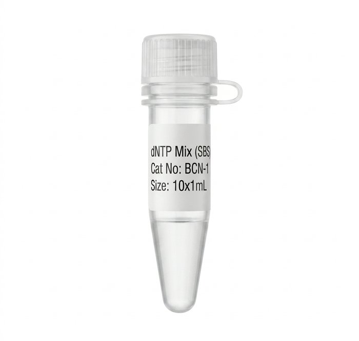 BCN-1 dNTP Mix 10x1mL Molecular Biology Reagent