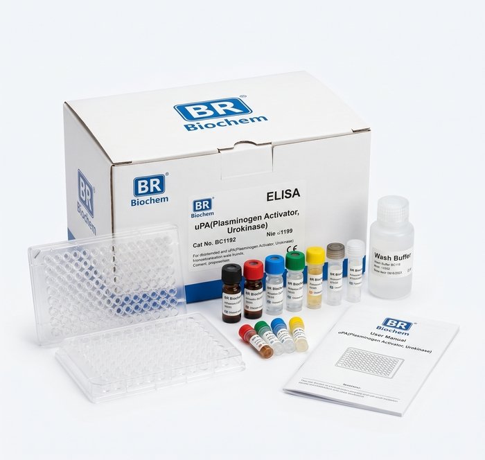 BC1192 uPA ELISA Kit - High Sensitivity Assay 96 Test