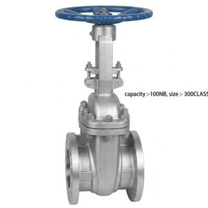 Advance Flo 100NB WCB Gate Valve 300 Class