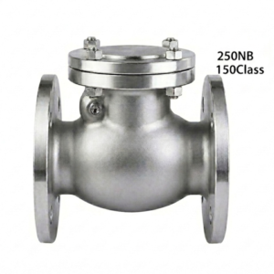 Advance Flo Valve 250NB 150Class WCB Check Valve