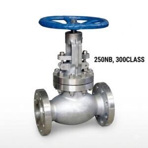 Advance Flo 250NB WCB Globe Valve 300 Class