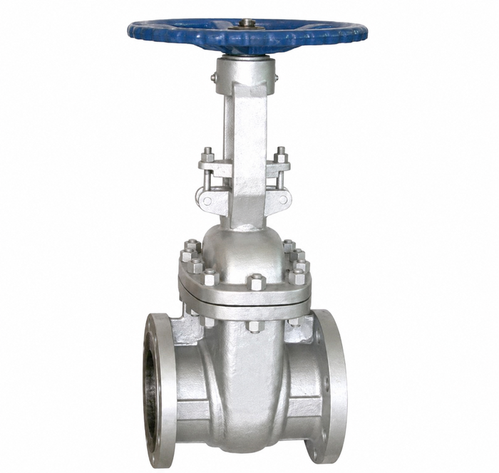 Advance Flo 125NB 300Class WCB Industrial Gate Valve - Image 2
