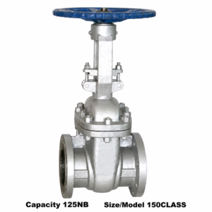 Advance Flo Valve 125NB 150 Class WCB Gate Valve
