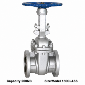Advance Flo Valve 200NB 150Class WCB Gate Valve