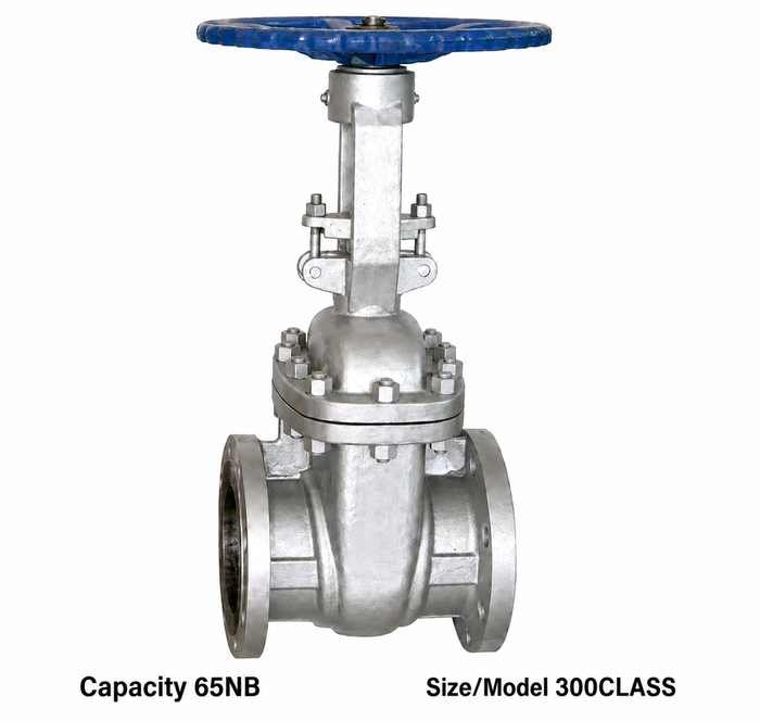 Advance Flo 65NB Gate Valve 300 Class WCB Industrial Valve