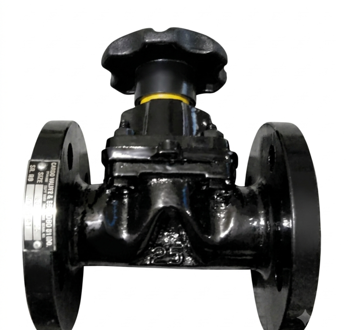 CAPRO Cast Iron Diaphragm Valve Industrial Grade (Available in different sizes) - Image 2