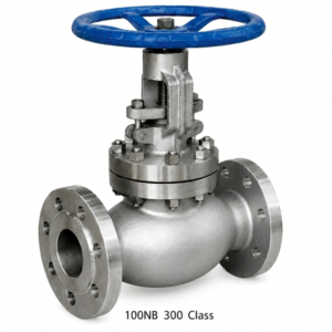 Advance Flo 100NB WCB Globe Valve 300 Class