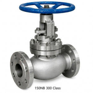 Advance Flo 150NB Globe Valve 300 Class WCB Industrial Valve