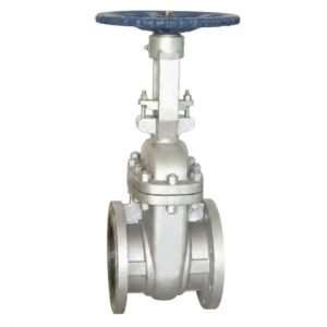 Advance Flo Valve 80NB Gate Valve 150 Class WCB
