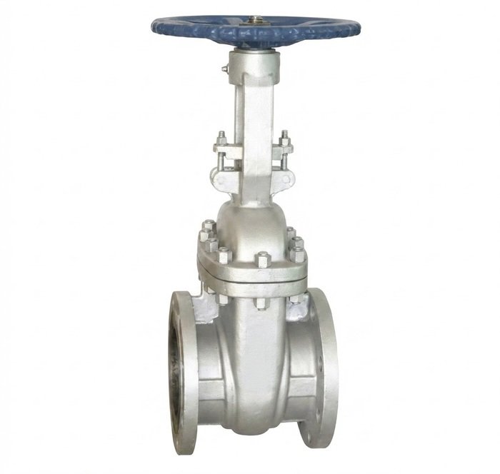 Advance Flo Valve 50NB 150 Class WCB Gate Valve