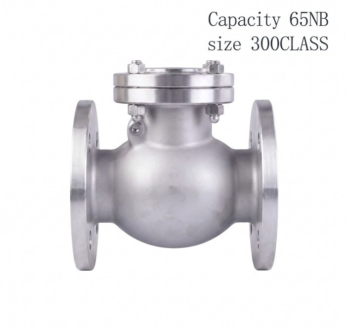 Advance Flo Valve WCB Check Valve 300 Class 65N B