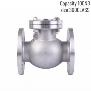 Advance Flo 100NB WCB Check Valve 300 Class Industrial