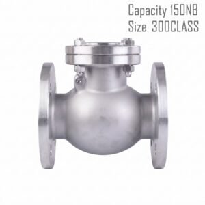 Advance Flo 150NB 300Class WCB Check Valve