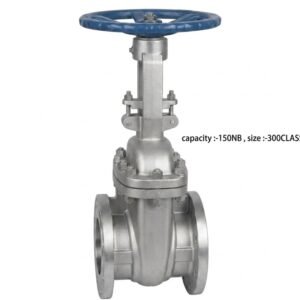 Advance Flo 150NB 300Class WCB Gate Valve