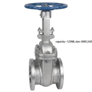 Advance Flo 125NB 300Class WCB Industrial Gate Valve