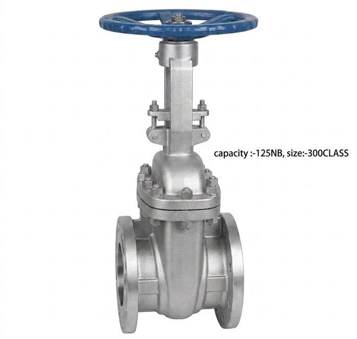 Advance Flo 125NB 300Class WCB Industrial Gate Valve