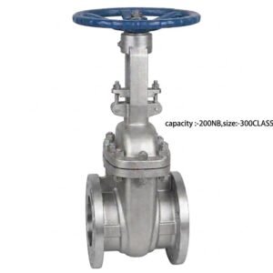 Advance Flo 200NB WCB Gate Valve 300 Class Industrial