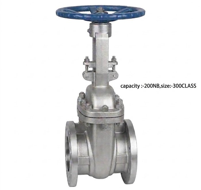 Advance Flo 200NB WCB Gate Valve 300 Class Industrial