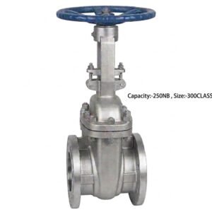 Advance Flo Valve 250NB 300Class WCB Gate Valve