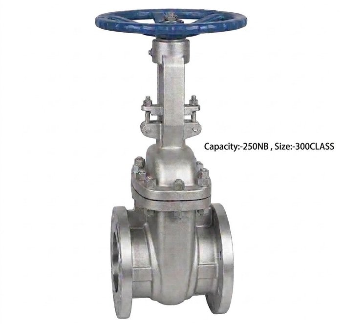 Advance Flo Valve 250NB 300Class WCB Gate Valve